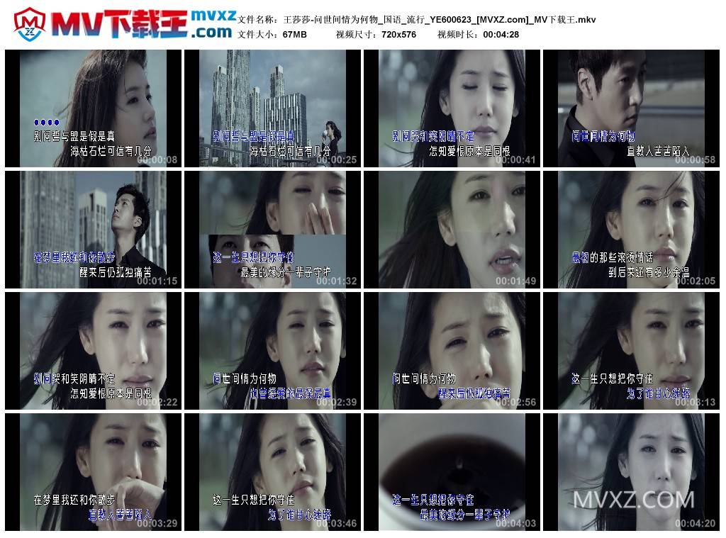 王莎莎-问世间情为何物_国语_流行_YE600623